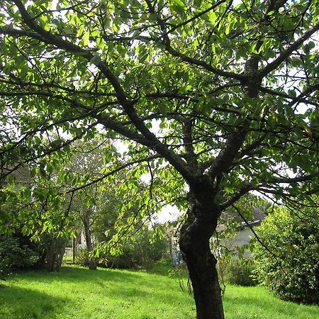 Maison Avec Grand Jardin Pour 15 Couchages En Normandie Cairon Quarto foto