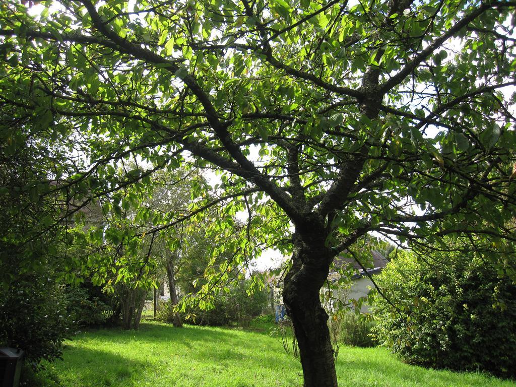 Maison Avec Grand Jardin Pour 15 Couchages En Normandie Cairon Quarto foto
